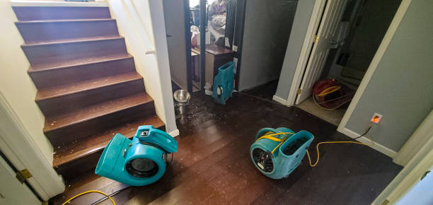 Best Water damage repair service  in Rosendale, WI