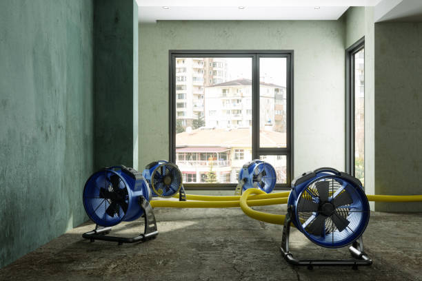 Best Residential water damage restoration  in Rosendale, WI