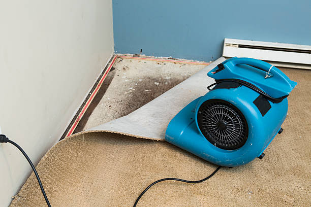 Best Water damage restoration near me  in Rosendale, WI